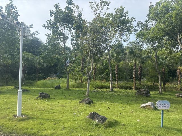 龙谷湾旅游休闲度假区旅行图片 4