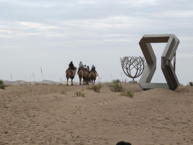 沙漠雕塑公园旅行图片 2