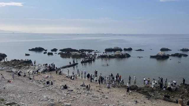 养马岛林间花海旅行图片 5