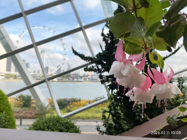 新加坡新加坡滨海湾花园游玩攻略简介,新加坡新加坡滨海湾花园门票/地址/图片/开放时间/照片/门票价格【携程攻略】