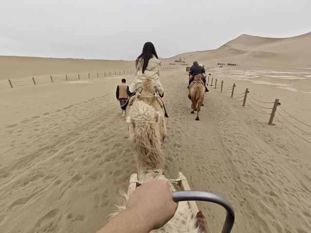 鸣沙山月牙泉旅行图片 3