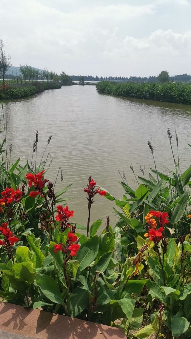 麒麟水乡旅行图片 14