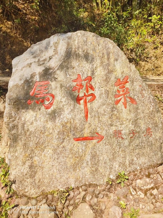 那柯里茶马驿站旅行图片 4