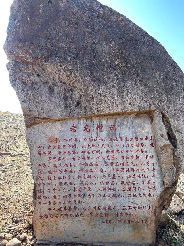 红土地千年老龙树(暂停开放)旅行图片 2