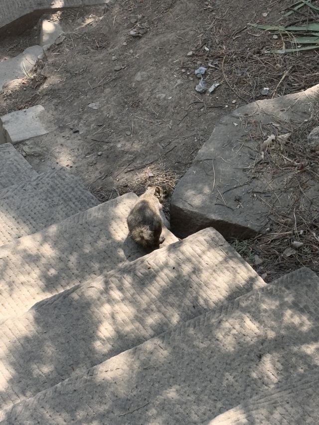 晋祠天龙山景区旅行图片 3