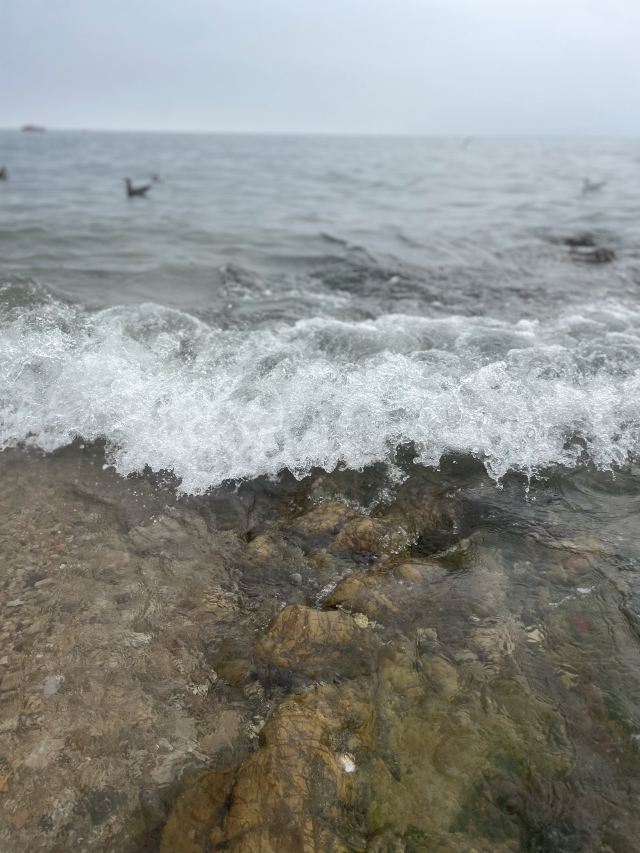 棒棰岛旅行图片 3