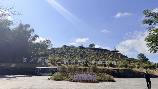 云舍松涛·海南中国村旅行图片 5