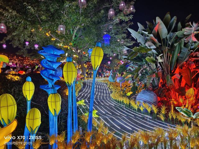 音乐·百花谷旅行图片 3