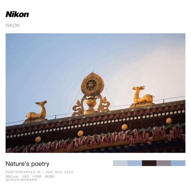 塔尔寺旅行图片 1