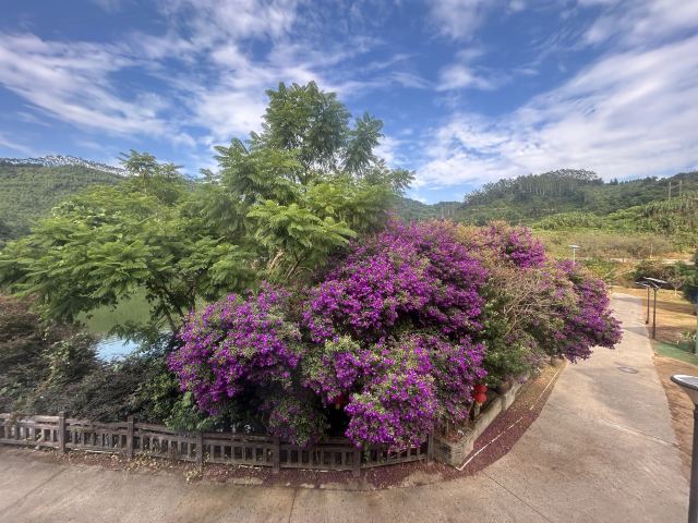 安溪石镜山风景区旅行图片 4