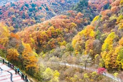 秦岭风景区旅行图片 3