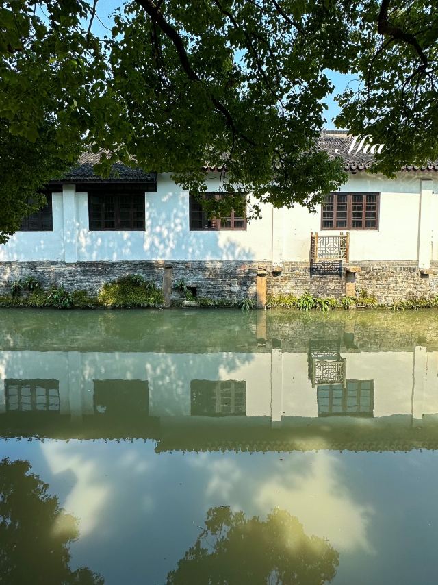 青溪老街旅行图片 2