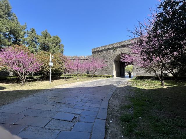 古城墙景区旅行图片 5