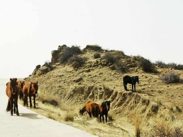 风蚀冰臼地质公园旅行图片 12