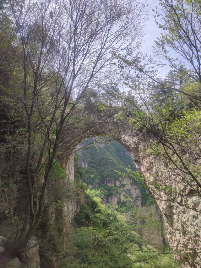 山西省长治市壶关县鹅屋天生桥旅行图片 3