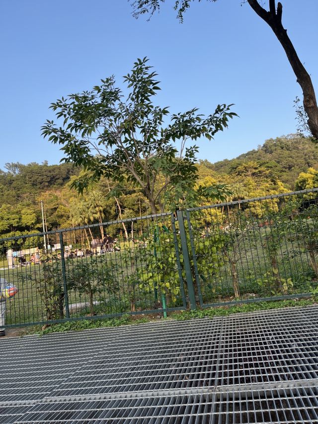 尖岗山公园旅行图片 2