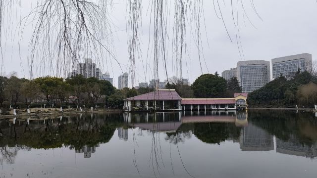 曲阳公园旅行图片 2