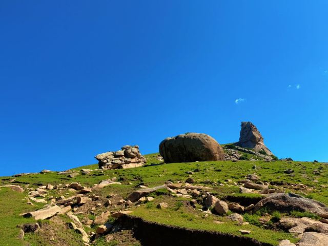灯笼河子牧场旅行图片 4