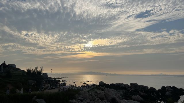 养马岛林间花海旅行图片 7