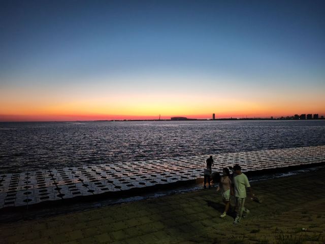 大辽河入海口旅行图片 4