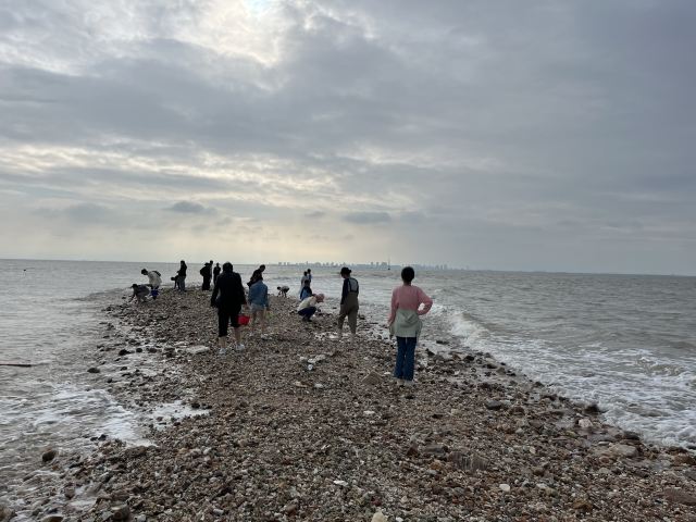 秦山岛旅游景区旅行图片 2