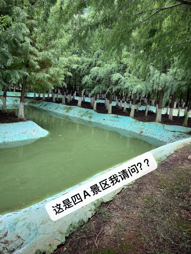 麒麟水乡旅行图片 2