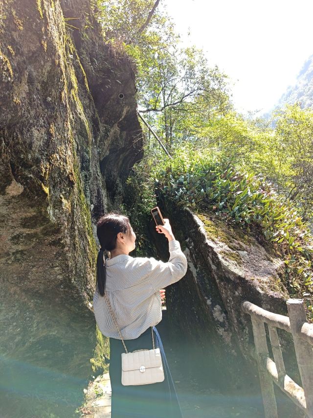 炎陵县神农谷国家森林公园旅行图片 1