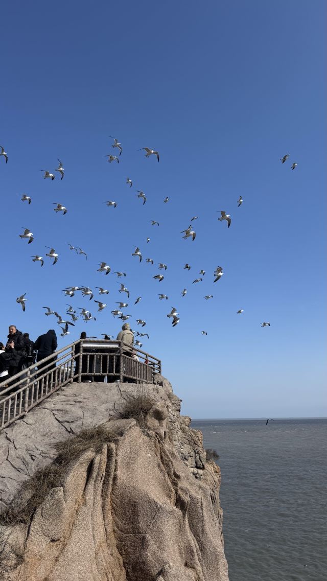 成山头国家重点风景名胜区旅行图片 1
