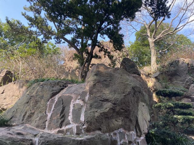 曲阳公园旅行图片 4