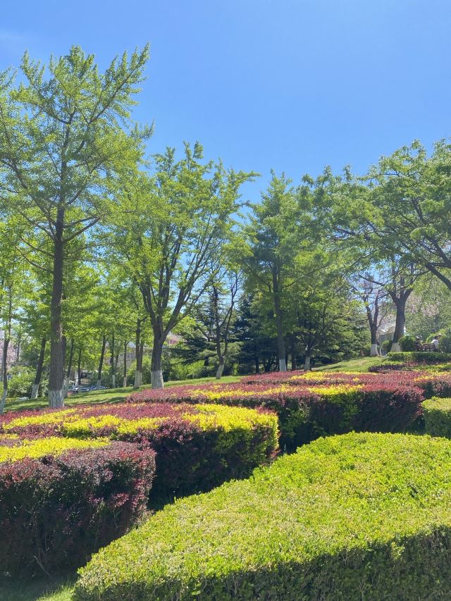 鼎山公园旅行图片 4