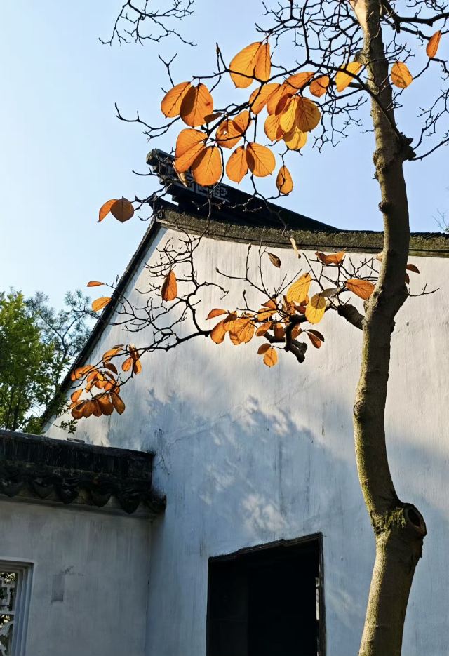 浮梁县新平村瓷宫旅行图片 5