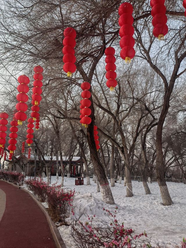 红山公园旅行图片 3