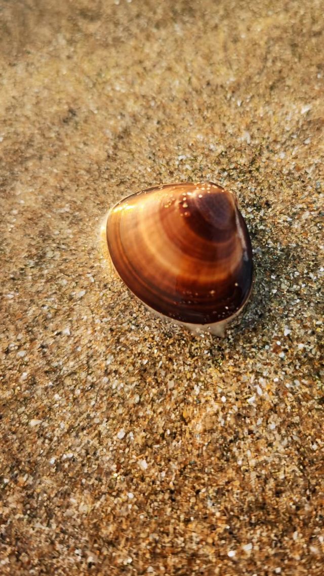 六鳌翡翠湾景区旅行图片 6