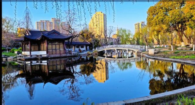 莫愁湖公园旅行图片 13