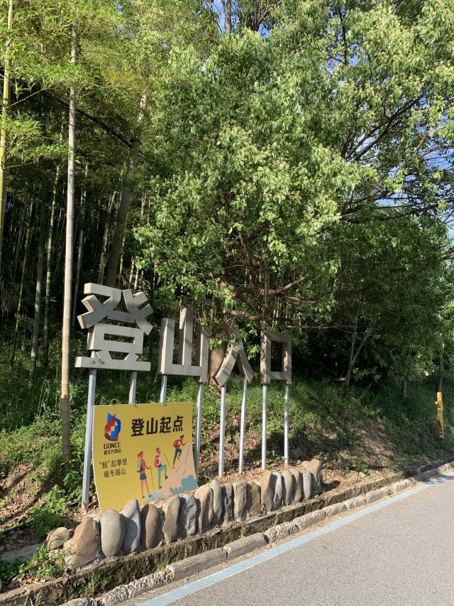 笄山竹海旅行图片 2