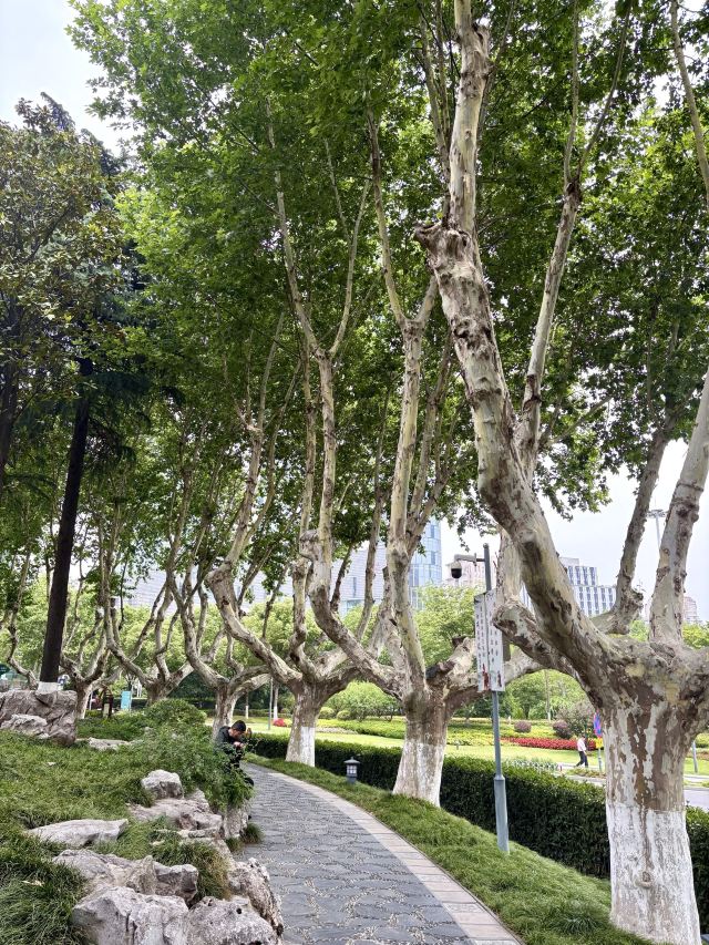 鼓楼公园旅行图片 8