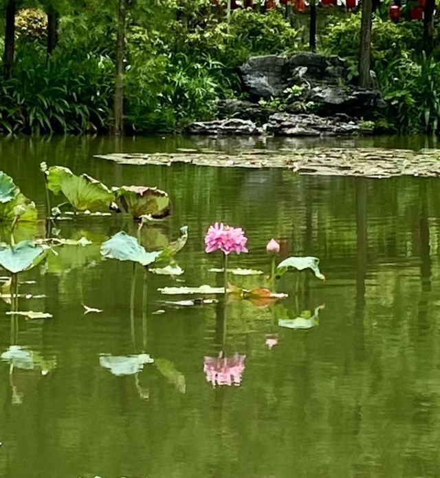 北滘公园旅行图片 2
