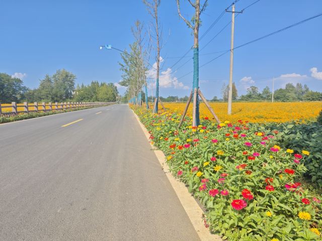 西河古镇旅行图片 3