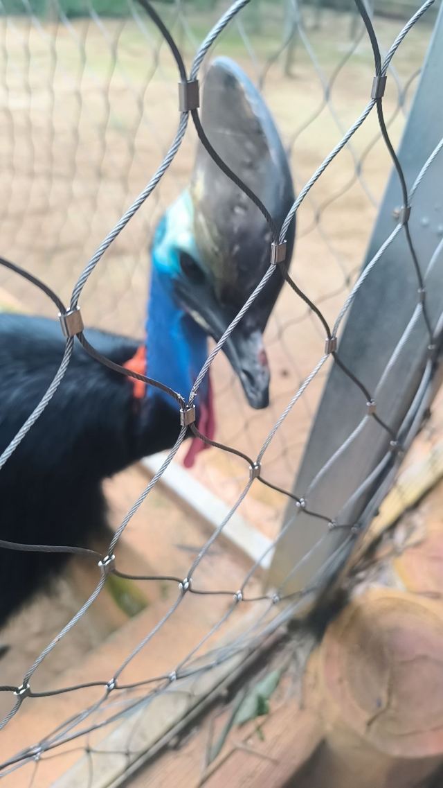 皖南野生动物园旅行图片 2