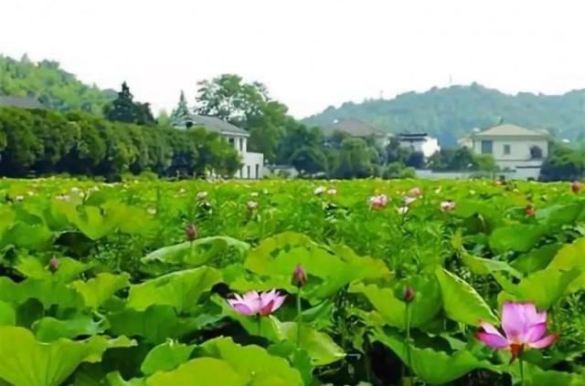 益阳古城旅行图片 12