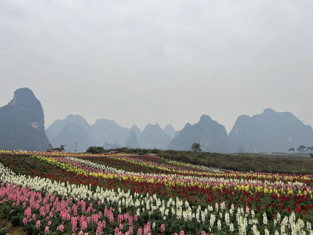 峒那屿湾旅行图片 5