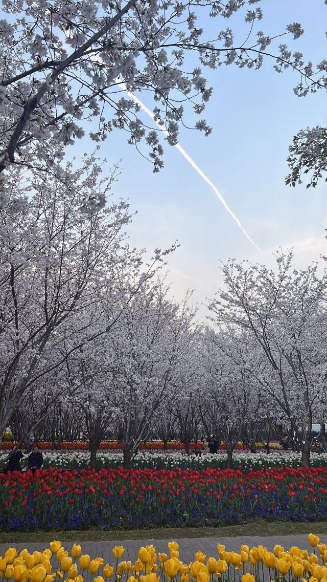 琴键春园旅行图片 6