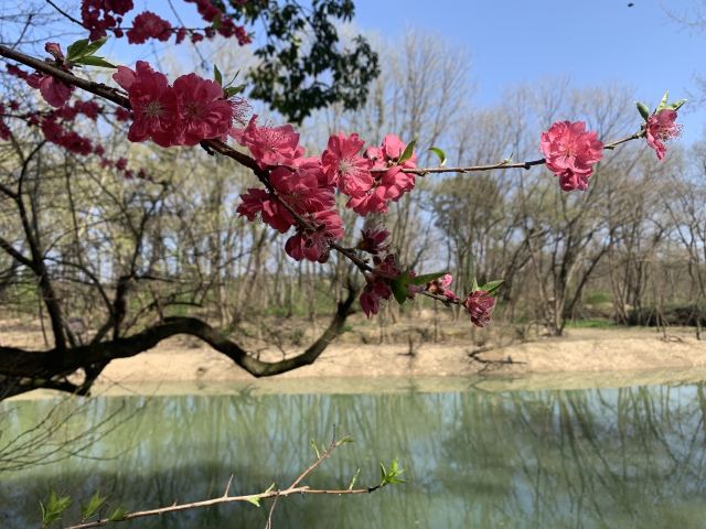 月亮湾旅行图片 2