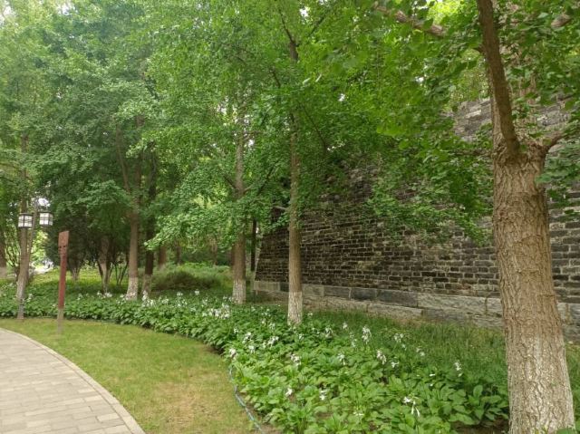 北京明城墙遗址公园旅行图片 3