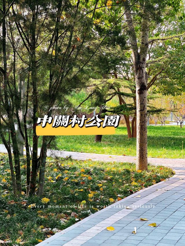 中关村公园旅行图片 3
