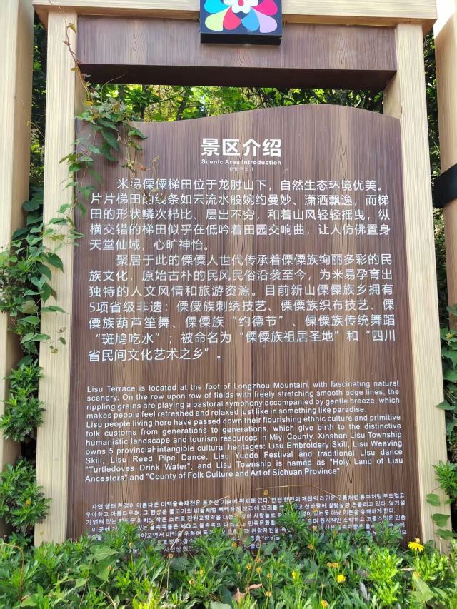 新山梯田旅行图片 6