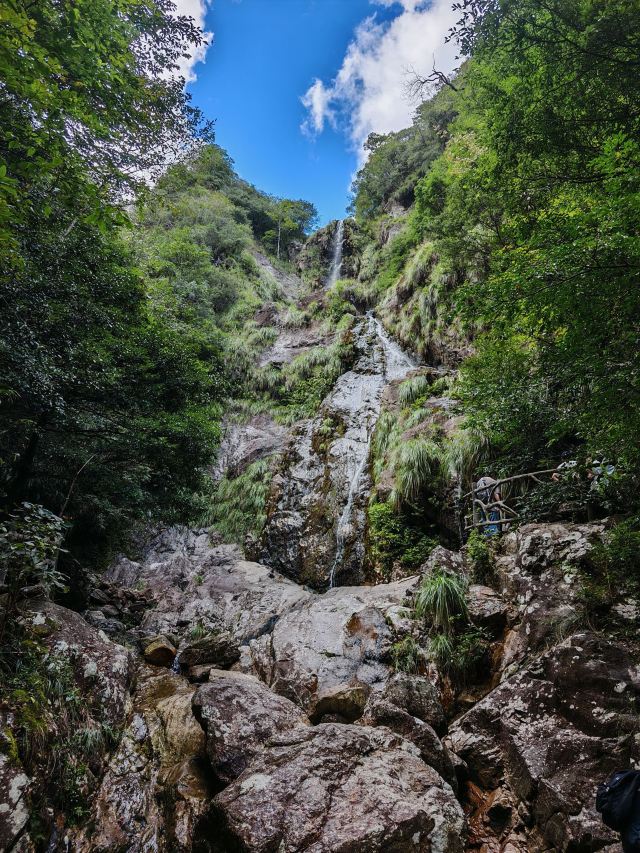 箬寮原始森林旅行图片 3
