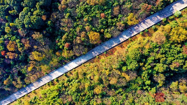 潜山国家森林公园旅行图片 1