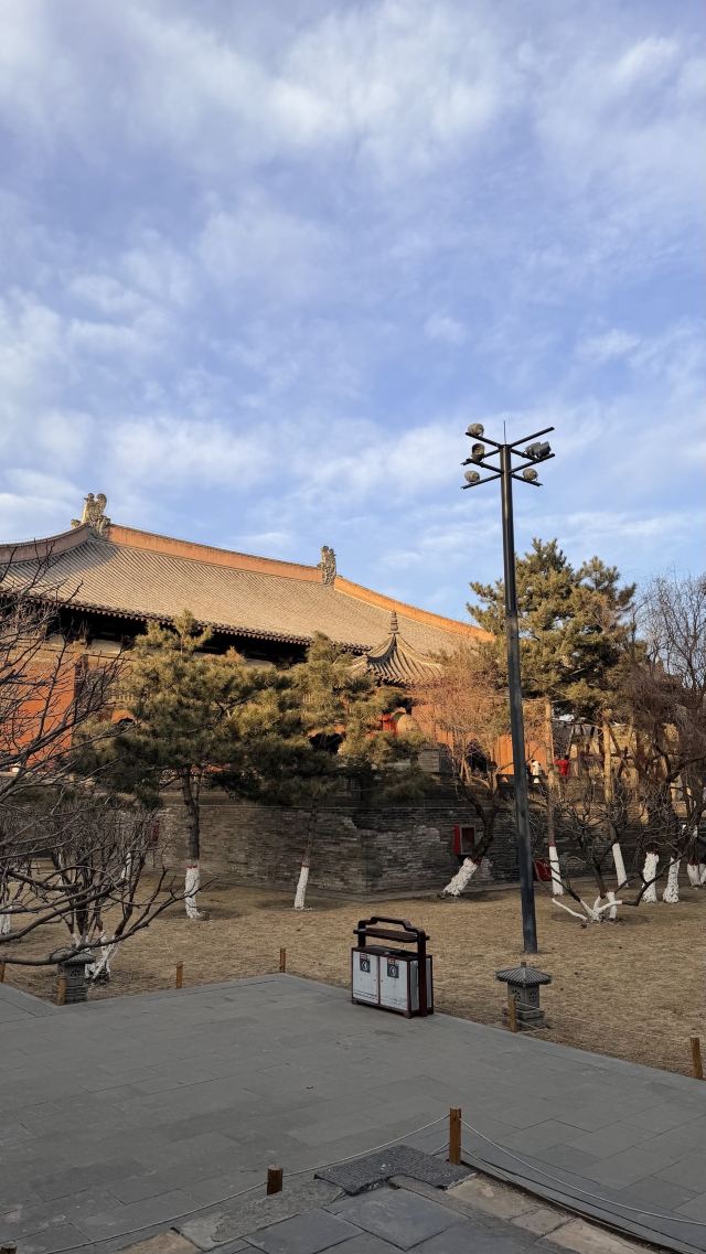 善化寺-特色纪念品商店旅行图片 7