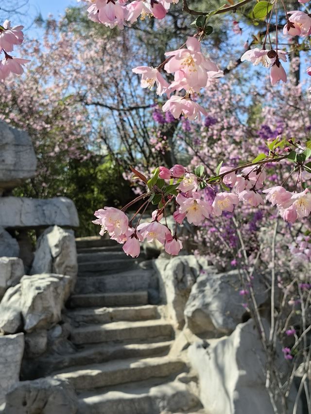 宛园旅行图片 3